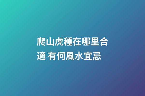 爬山虎種在哪里合適 有何風水宜忌